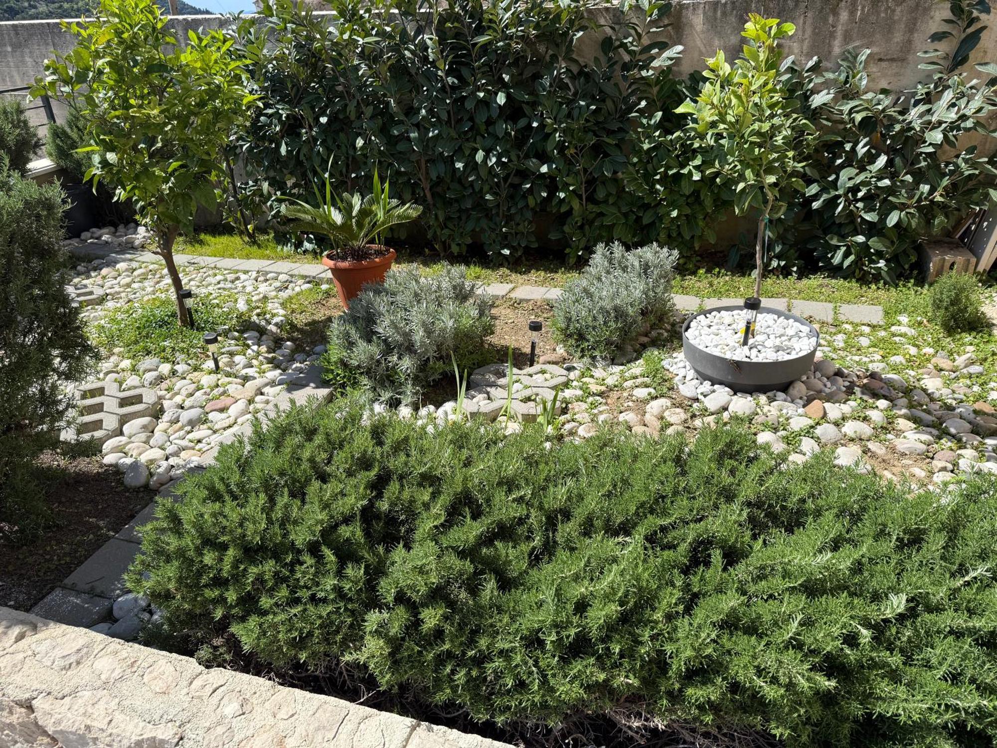 Appartement Lemon Tree *